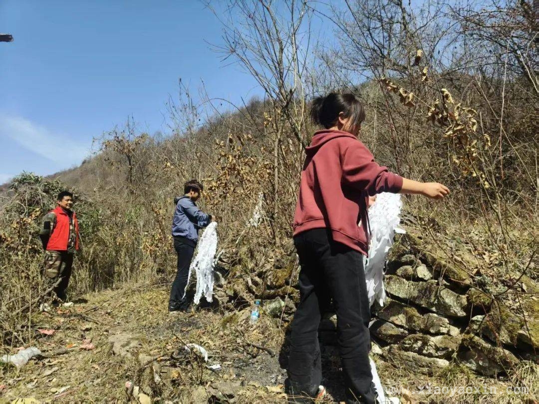 森林草原防火关键期，泰山乡多举措守护“生态绿”