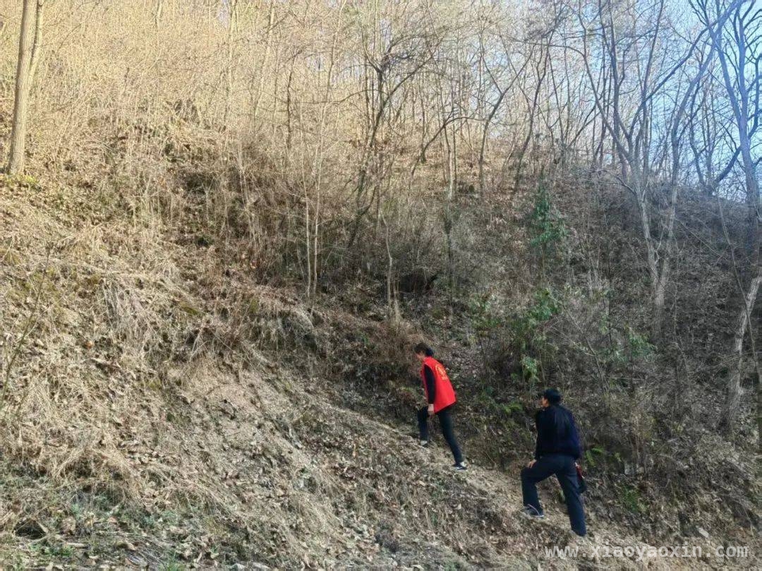 森林草原防火关键期，泰山乡多举措守护“生态绿”