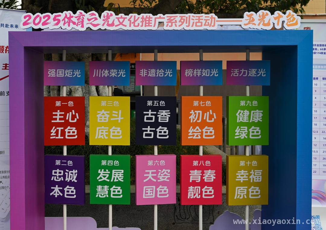 四川成立体育志愿者协会，“体育之光”照亮志愿服务新征程