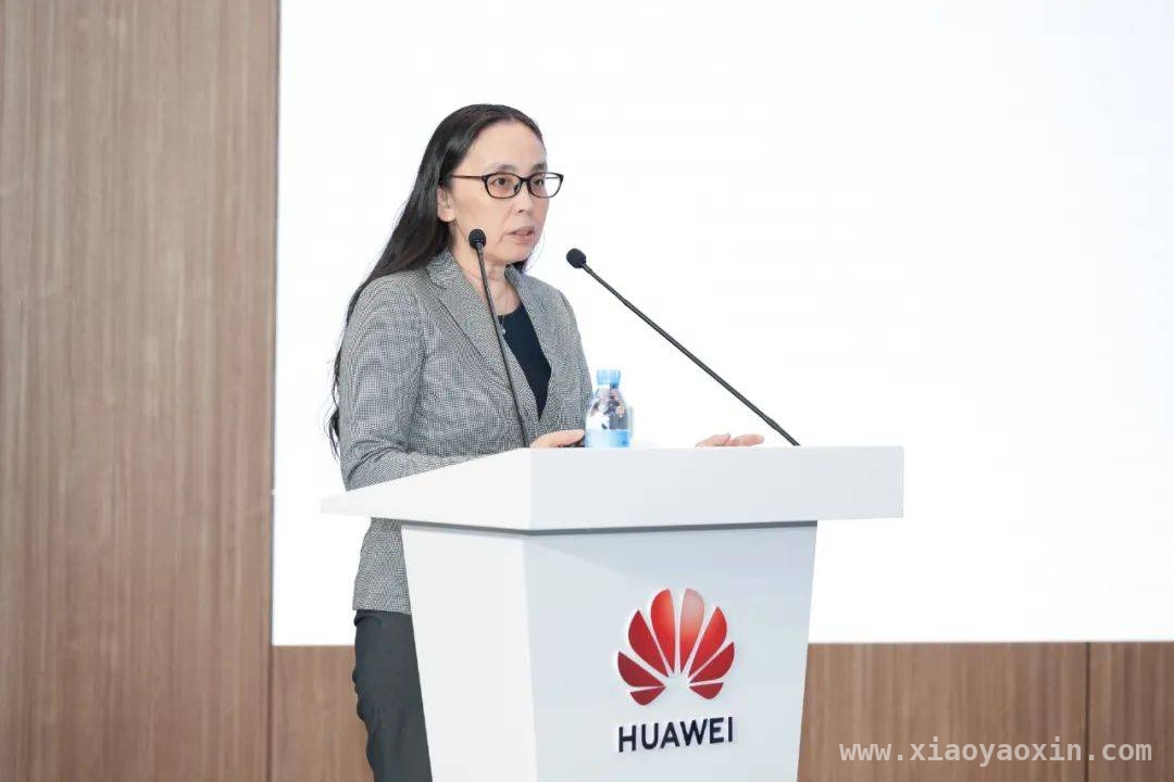 2025华为光伏大会：共探新能源高质量发展新路径 “碳路中国”：华为引领光伏产业迈向高质量发展新时代