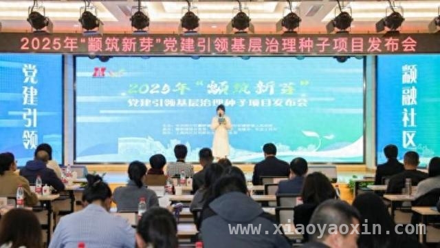 聚焦颛桥镇基层治理：多维度举措提升居民幸福感