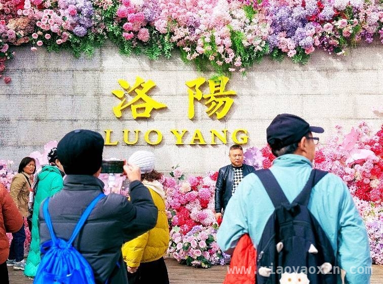 解锁古街新玩法，邂逅牡丹文化之美，牡丹古街：从演艺到市集的全方位奇趣体验