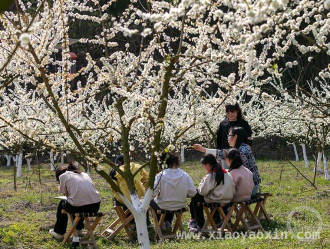 上游新闻“春色”摄影展，诚盼佳作共绘春景，花田写生童心趣，“春色”摄影邀你同行
