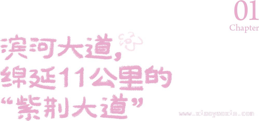 漫步深圳滨河大道，感受春日繁花与黄昏之美 深圳滨河大道：春日花路与黄昏画卷的交织