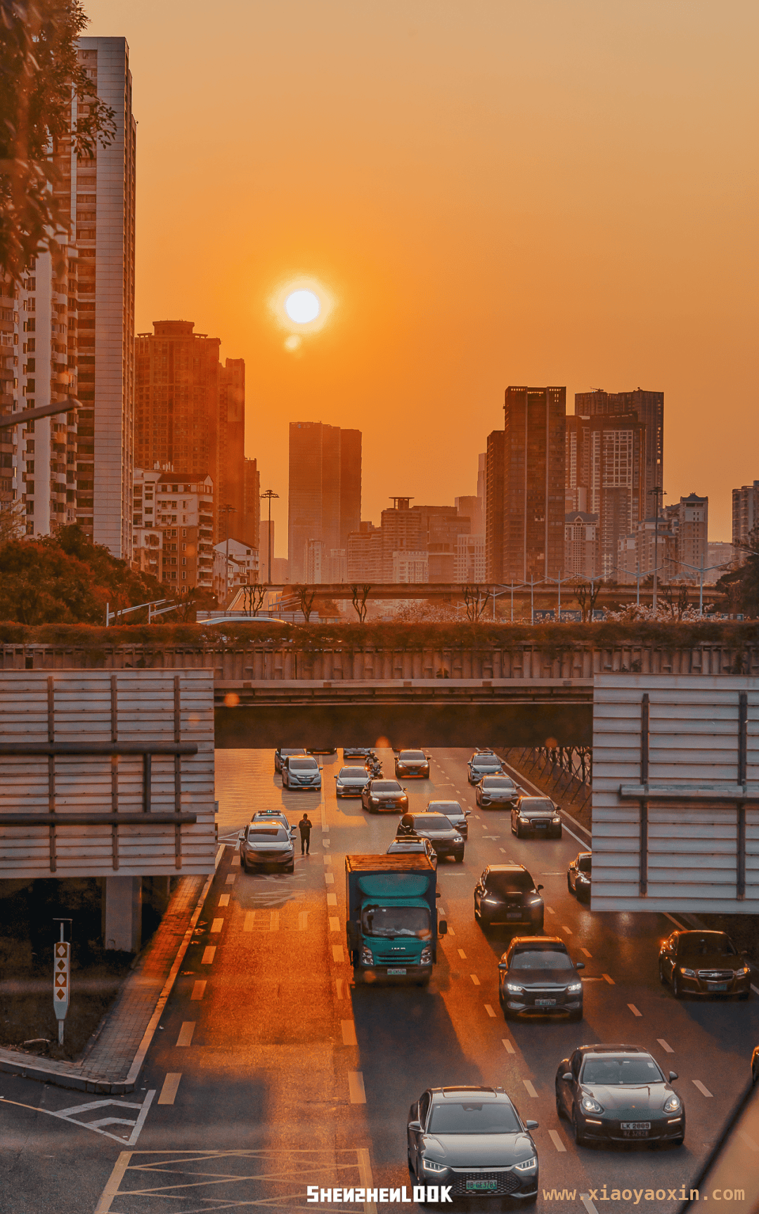 漫步深圳滨河大道，感受春日繁花与黄昏之美 深圳滨河大道：春日花路与黄昏画卷的交织