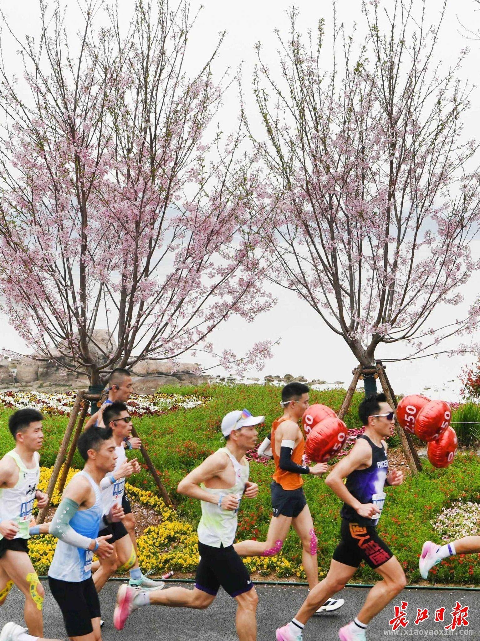 武汉：马拉松、演唱会，人气流量持续飙升
