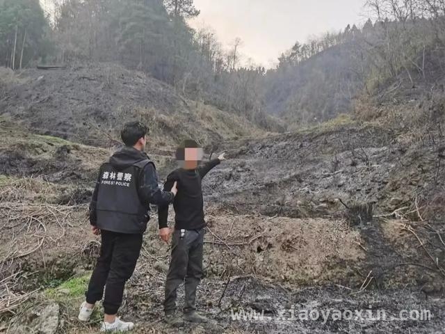 森林火灾频发！这些用火行为千万别做