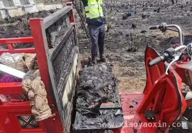 森林火灾频发！这些用火行为千万别做