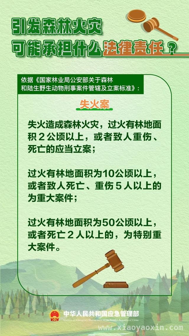 森林火灾频发！这些用火行为千万别做
