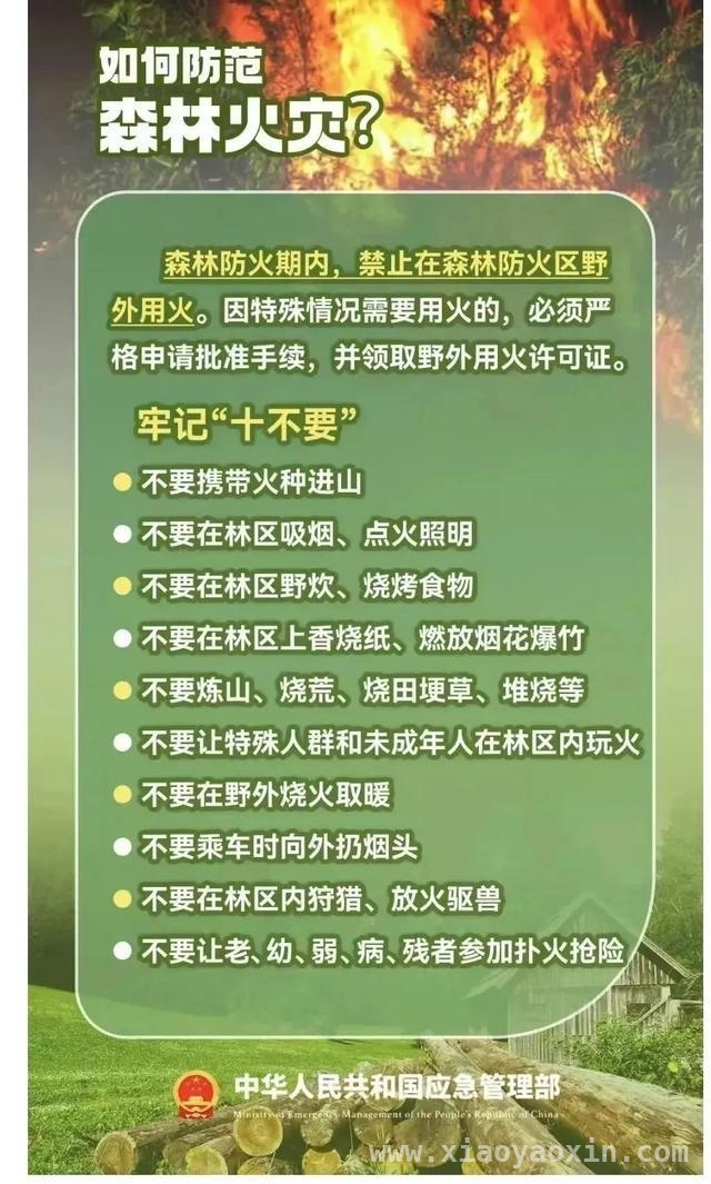 森林火灾频发！这些用火行为千万别做