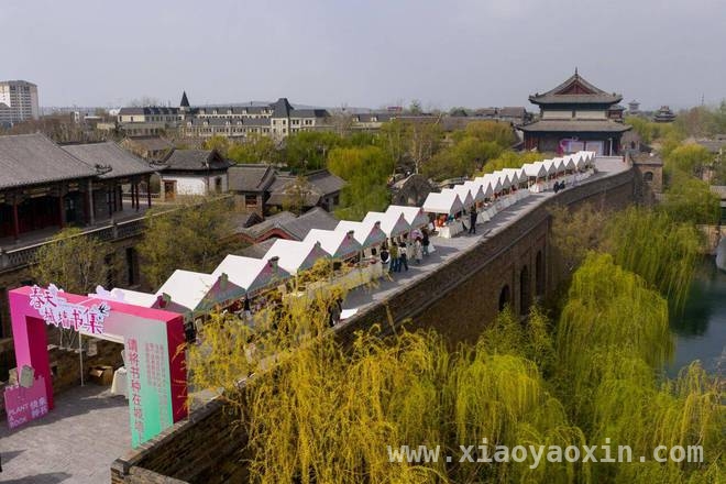 清照泉城书集：将历史文化融入当代生活 “春天城墙书集”：开启一场诗意与文化的春日之旅