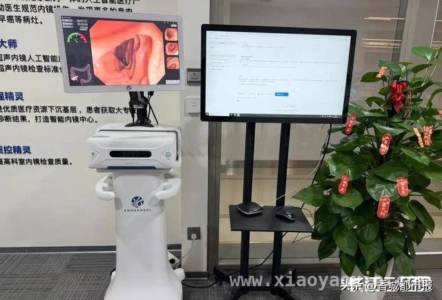 湖北产业焕新：新动能、新赛道、新基地全面崛起 聚焦湖北：高技术制造业增速领跑，产业发展驶入快车道