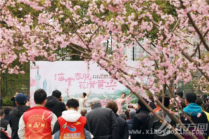 第九届黄兴公园海棠文化节来袭，多样活动精彩纷呈，相约黄兴公园，共赴第九届海棠文化节盛宴