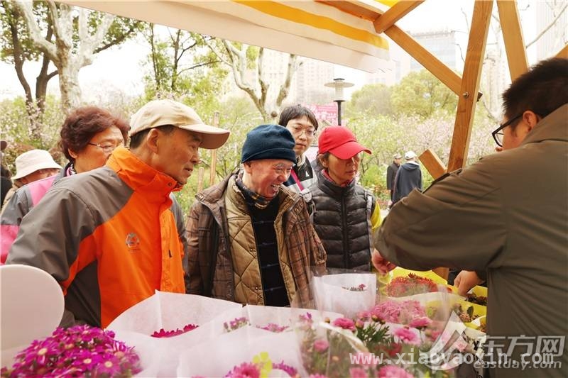 第九届黄兴公园海棠文化节来袭，多样活动精彩纷呈，相约黄兴公园，共赴第九届海棠文化节盛宴