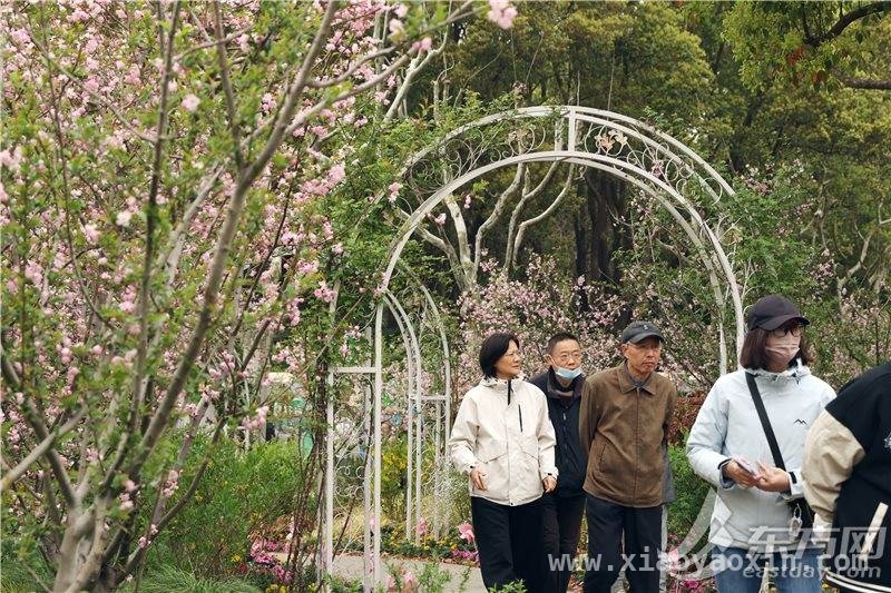 第九届黄兴公园海棠文化节来袭，多样活动精彩纷呈，相约黄兴公园，共赴第九届海棠文化节盛宴