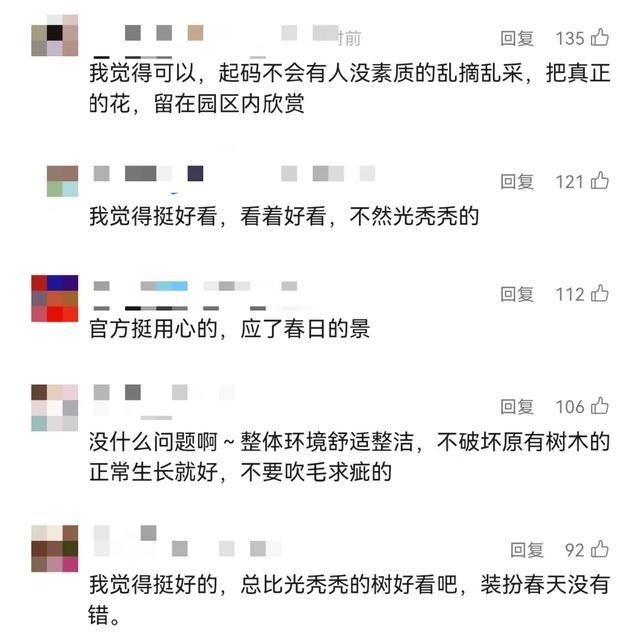 被上海滴水湖“假樱花”骗到？真相原来是这样