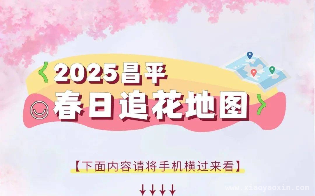追花之旅，昌平2025版春日地图带你嗨！