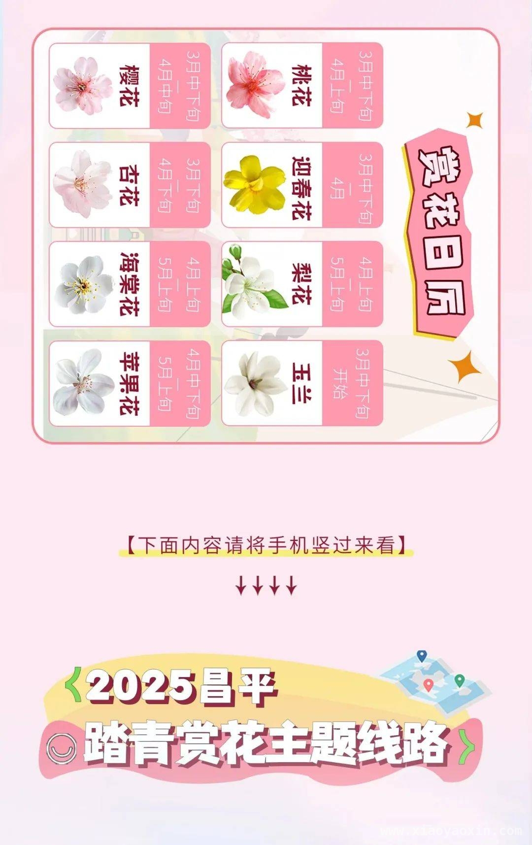 追花之旅，昌平2025版春日地图带你嗨！