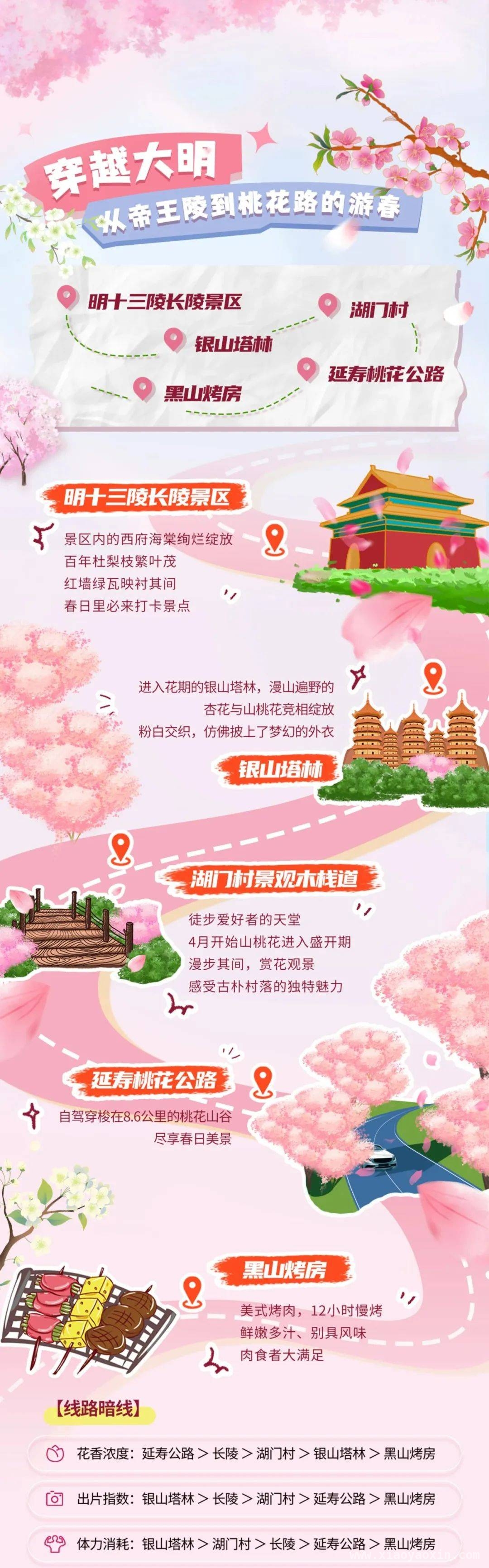 追花之旅，昌平2025版春日地图带你嗨！