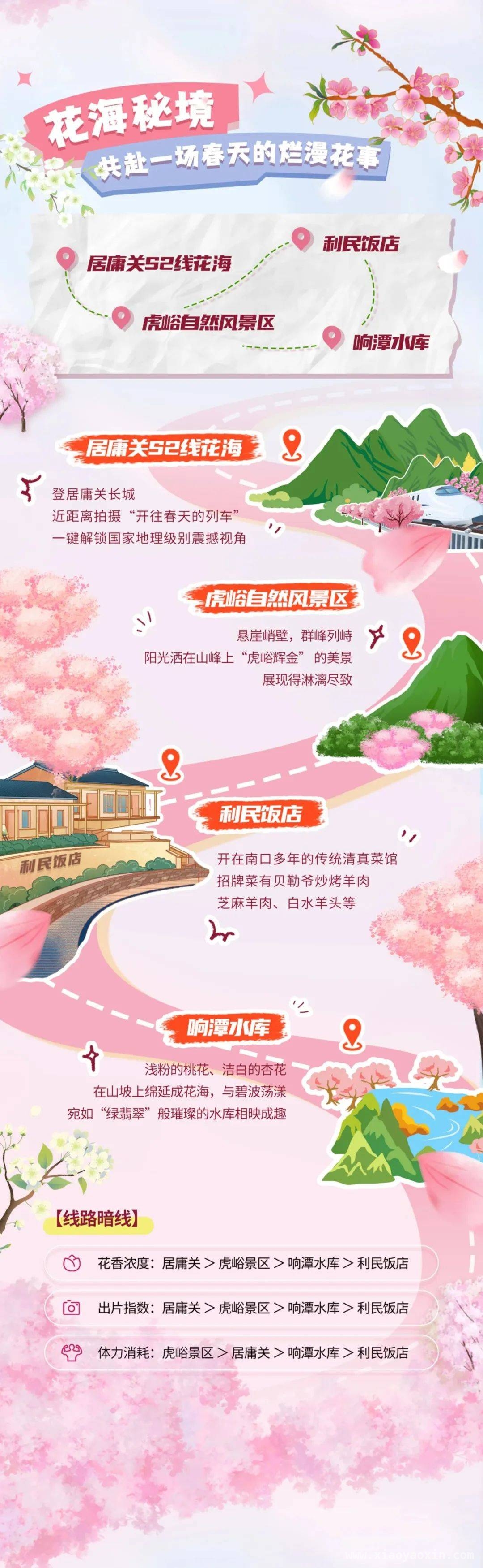 追花之旅，昌平2025版春日地图带你嗨！