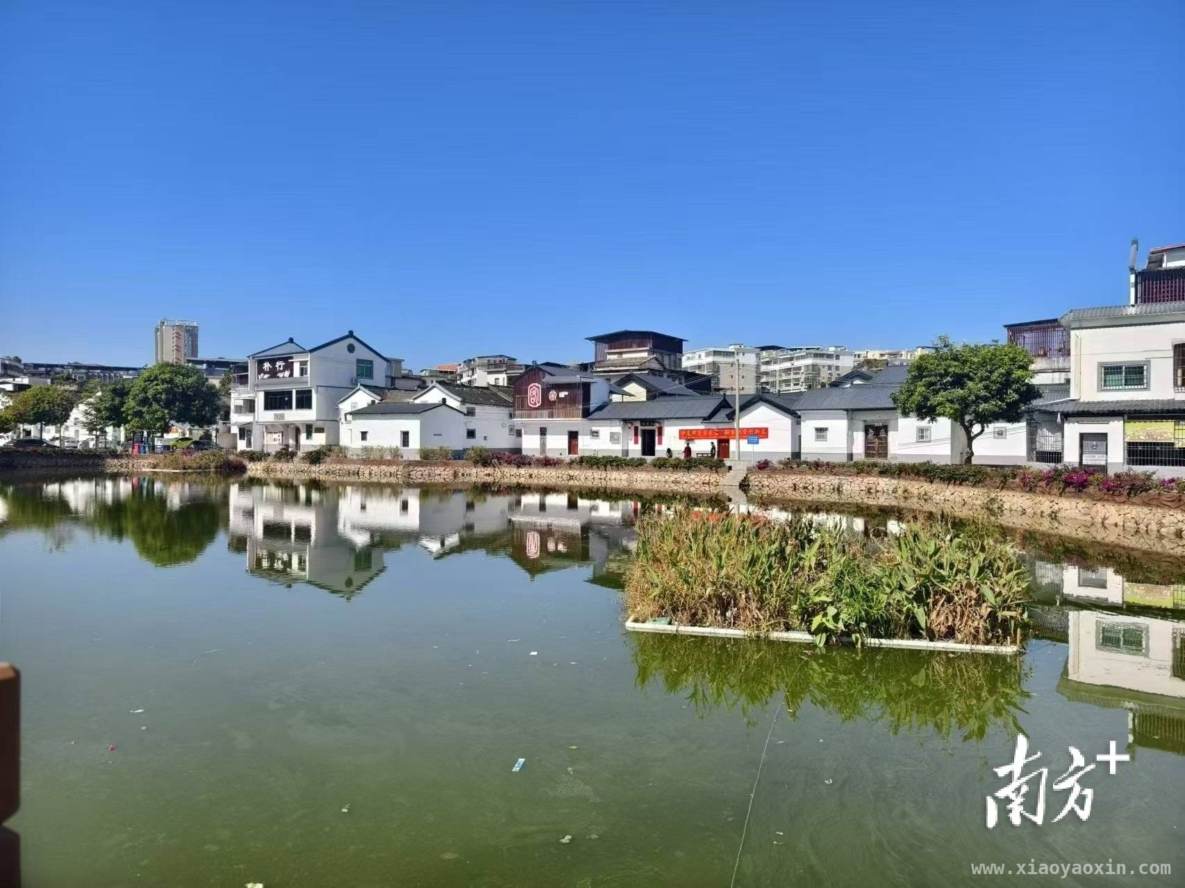 西郊街道创新治理模式，构建共建共治新局面