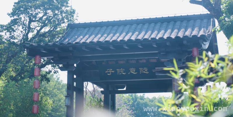 随意院子：以冠珠岩板演绎翰林谭家菜的文化魅力