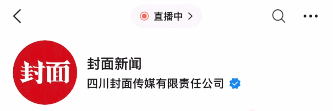 阿姆斯特丹水域悲剧：清华学子罗生门离世，死因待解