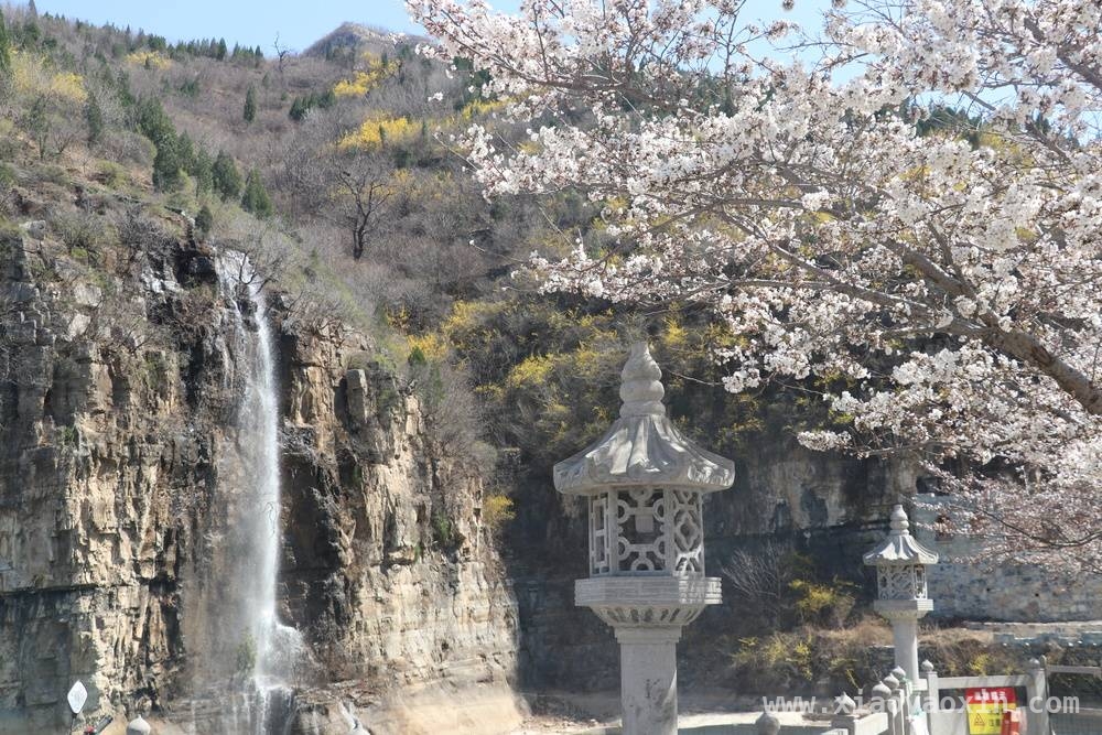浪漫齐山樱花节，让心灵在春日中栖息