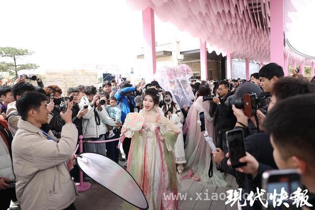 连云港桃花涧“花朝季”：数字文旅开启景区新篇，探秘桃花涧“花朝季”：数字文旅项目惊艳登场