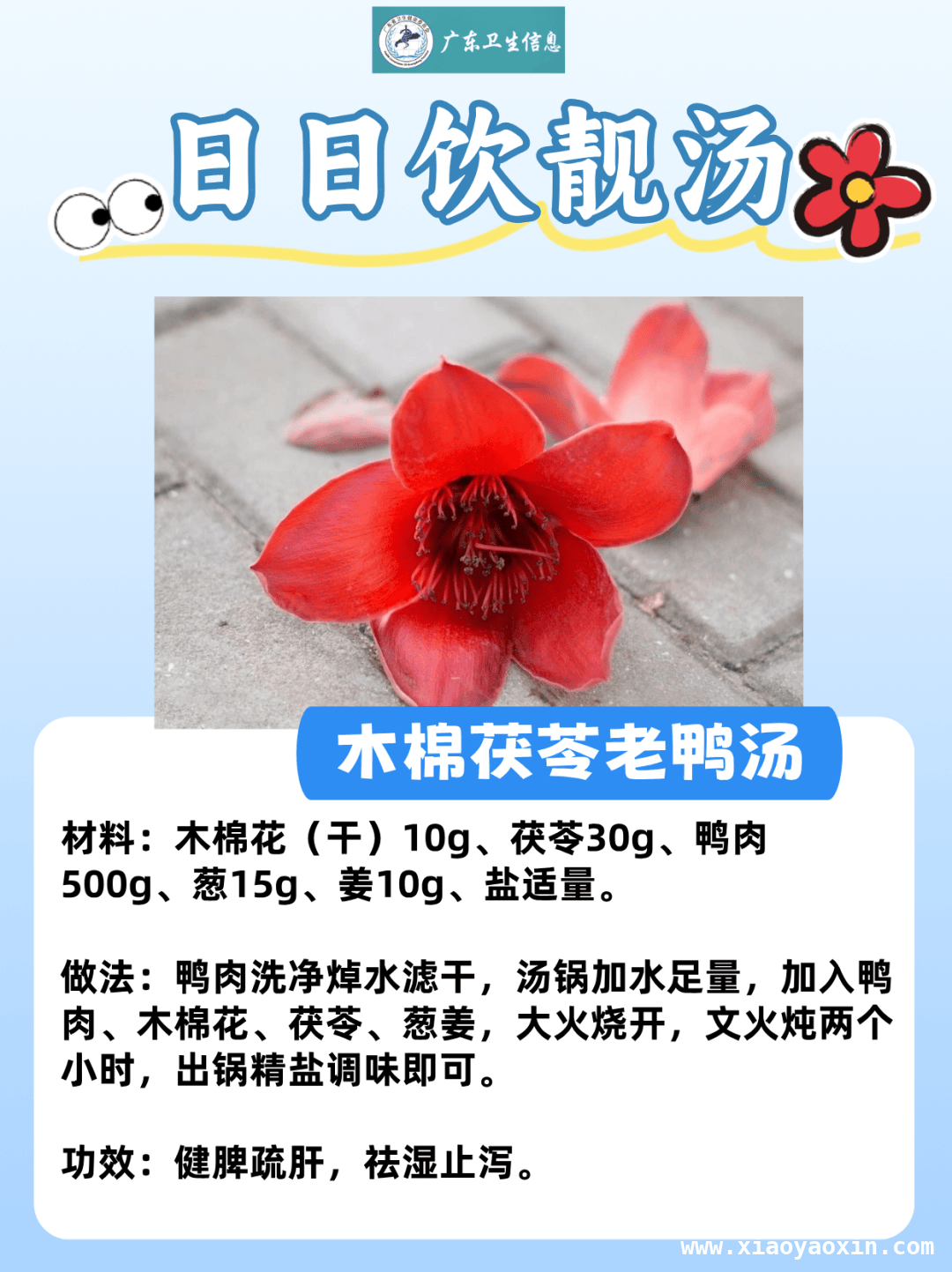 三月韶城木棉俏，食用学问知多少，小心！路边木棉花“暗藏风险”
