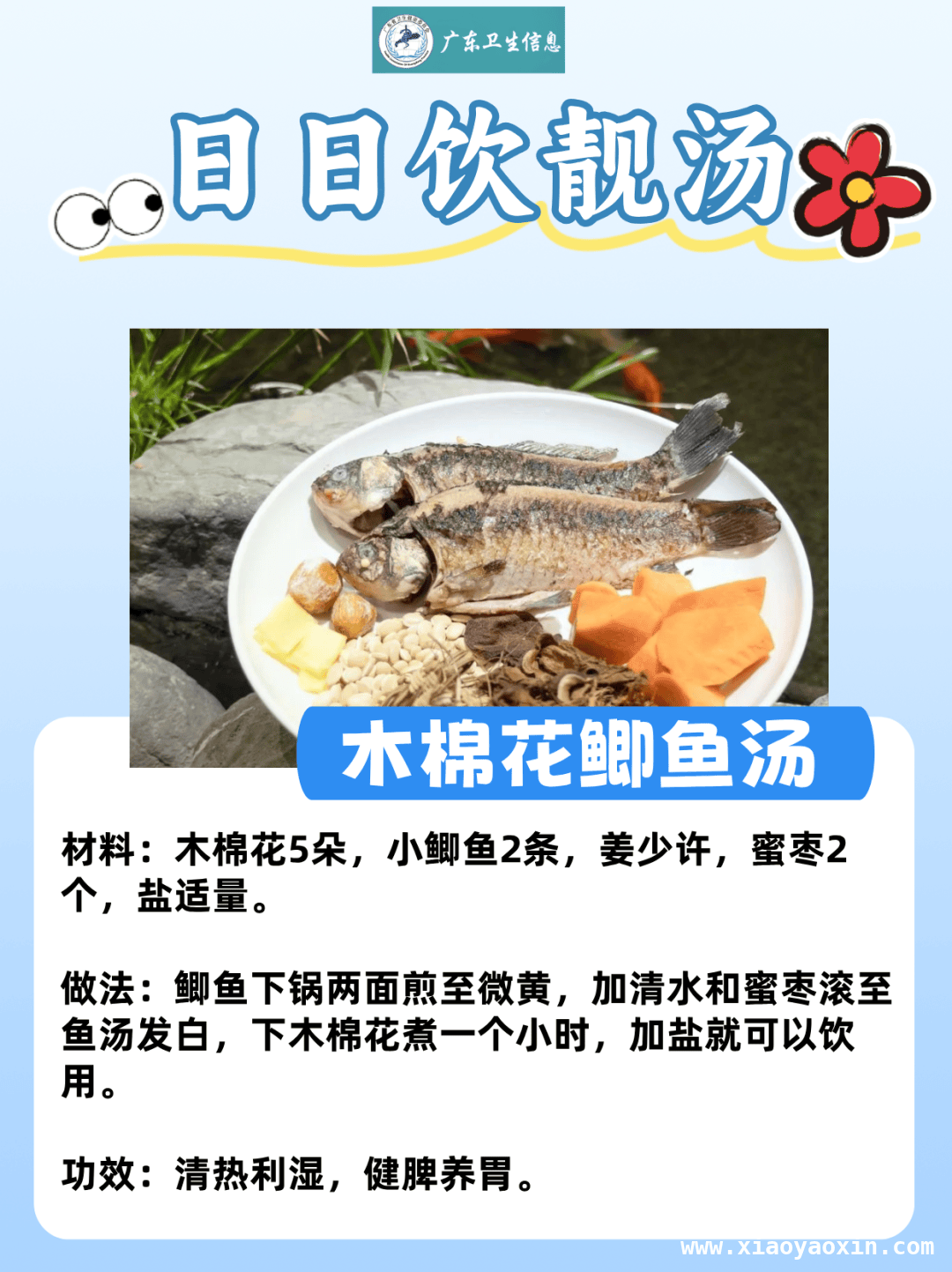 三月韶城木棉俏，食用学问知多少，小心！路边木棉花“暗藏风险”