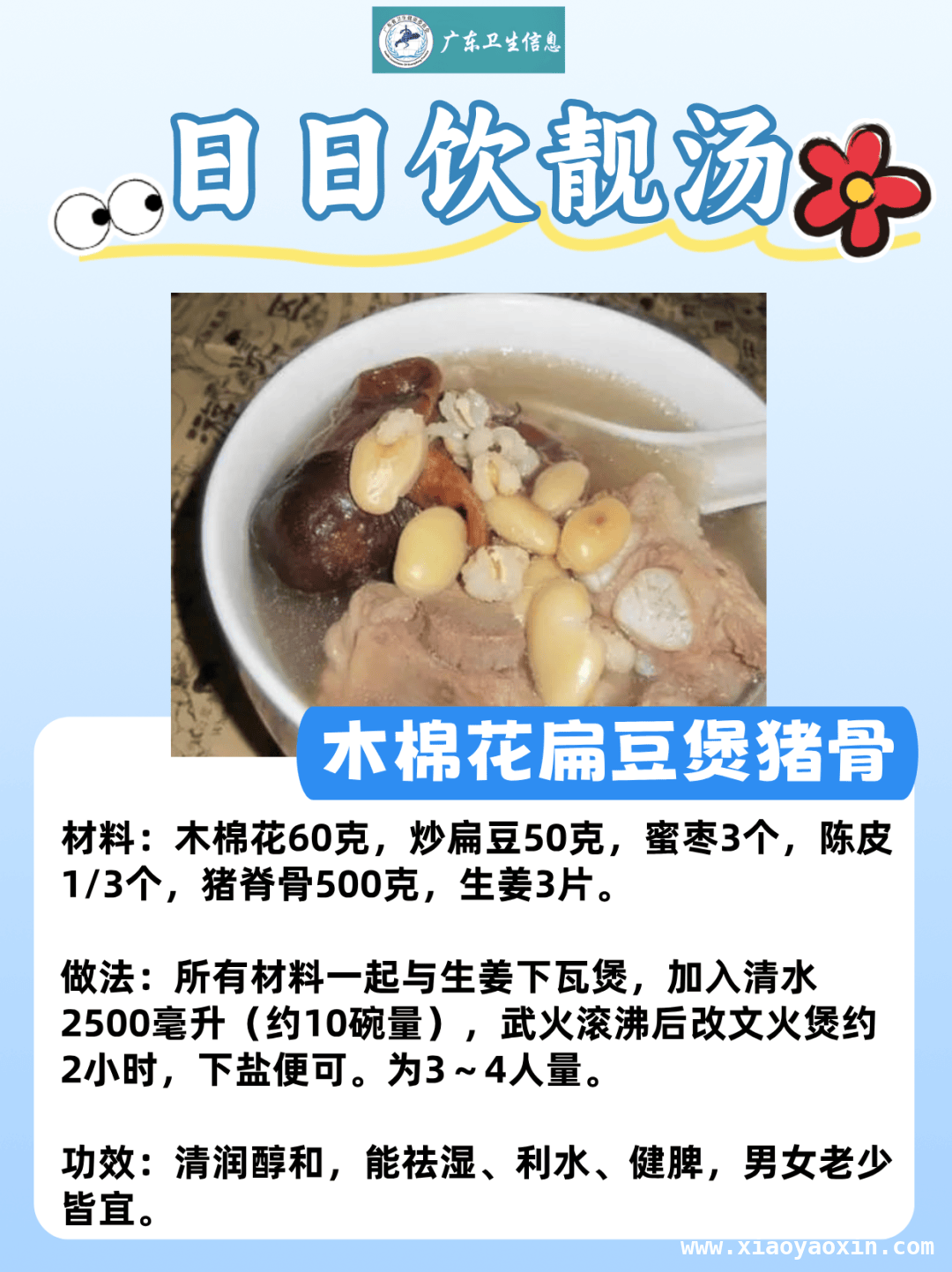 三月韶城木棉俏，食用学问知多少，小心！路边木棉花“暗藏风险”