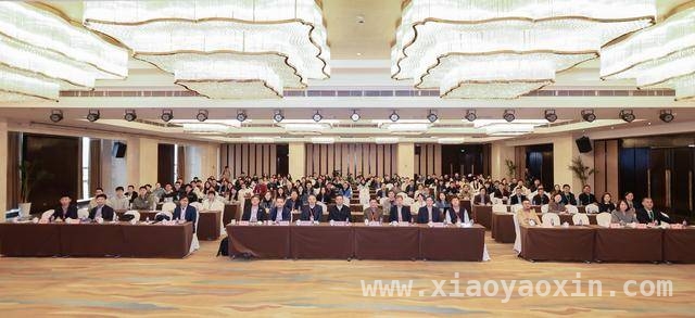 2025郑州数学盛会：共探AI驱动的交叉科学新路径，AI+数学：郑州大学国际研讨会碰撞智慧火花