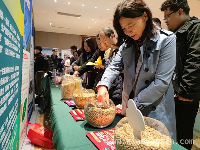 3. 聚焦嘉祥！黄淮海大豆育种协作网会议推动产业升级