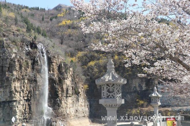 齐山第十三届樱花节：邂逅春日浪漫盛宴