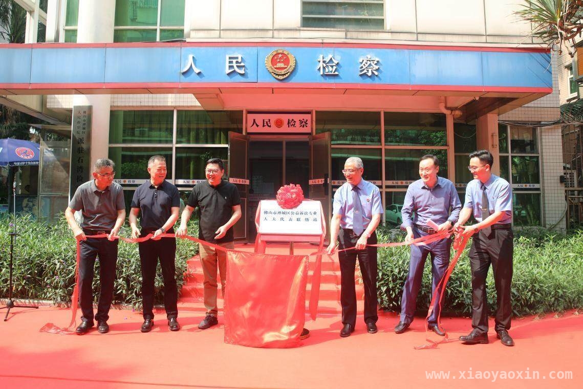 禅城区公益诉讼专业人大代表联络站揭牌，探索多元共治公益保护模式，佛山禅城区公益诉讼专业人大代表联络站揭牌，开启公益保护新篇章