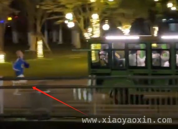奔跑吧新阵容来袭，这季注定爆款！