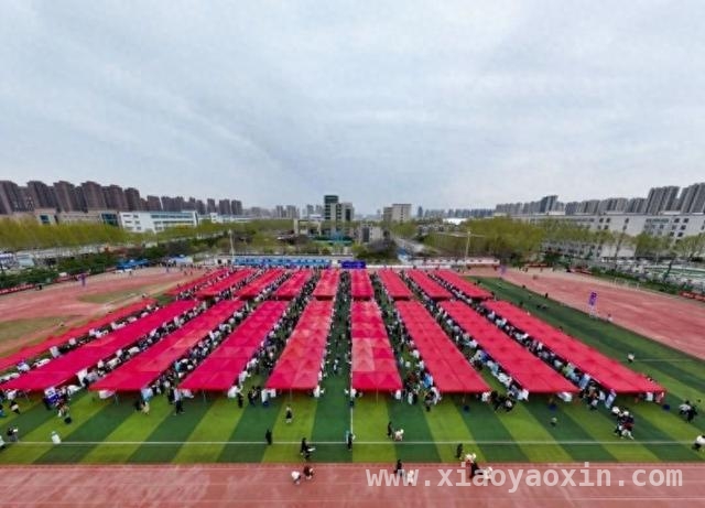 380余家优质企业齐聚！黄河科技学院双选会为毕业生送“职”惠