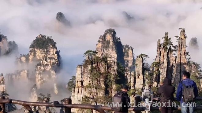 张家界国际旅游再升级，入境游数据亮眼！ 张家界：提升旅游便利化，打造全球旅游品牌！