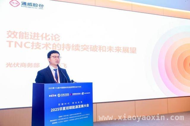 华夏双碳能源发展大会：技术创新与绿色发展齐头并进，聚焦双碳时代，华夏双碳能源发展大会释放绿色发展新信号