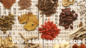 探寻明山下的医道之光，见证中医药的时代腾飞