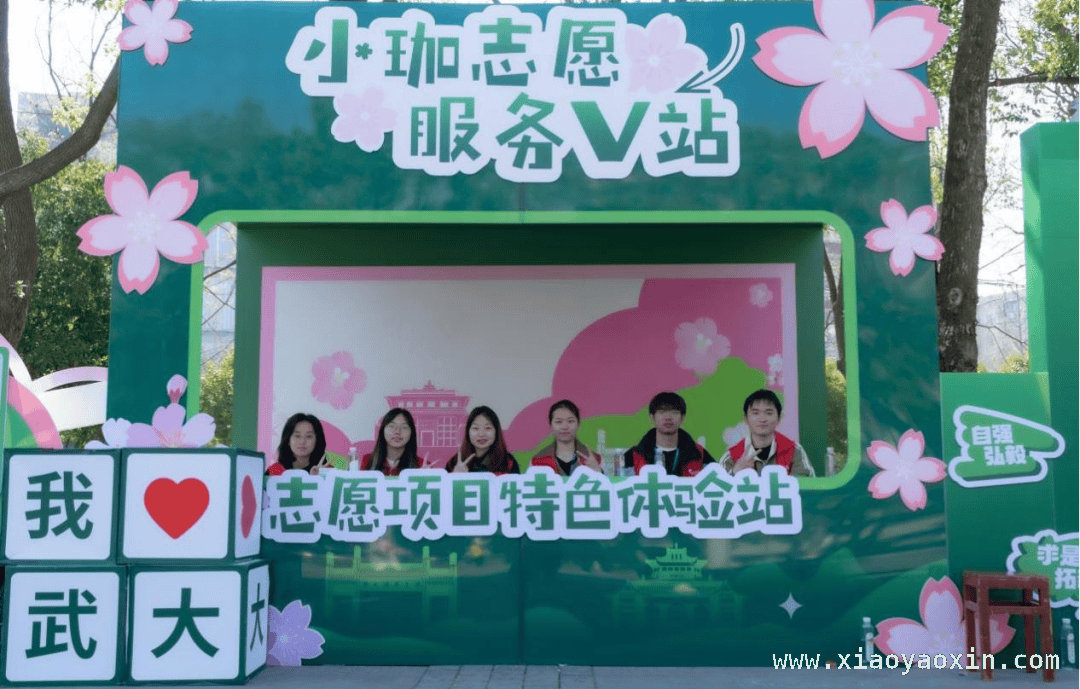 V站点亮武大赏樱之旅，温暖满溢仲春 在武大樱园，感受V站志愿服务的魅力