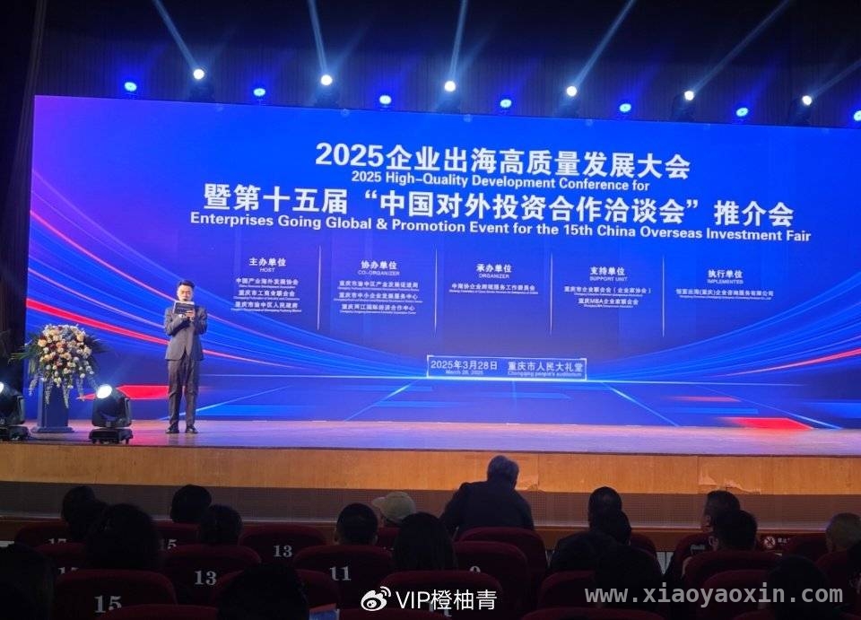 重庆大渡口区商会组团参会，共探企业出海新征程，大渡口区国际贸易商会18人团，赴企业出海大会谋发展