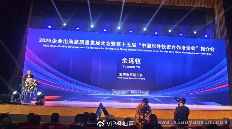 重庆大渡口区商会组团参会，共探企业出海新征程，大渡口区国际贸易商会18人团，赴企业出海大会谋发展