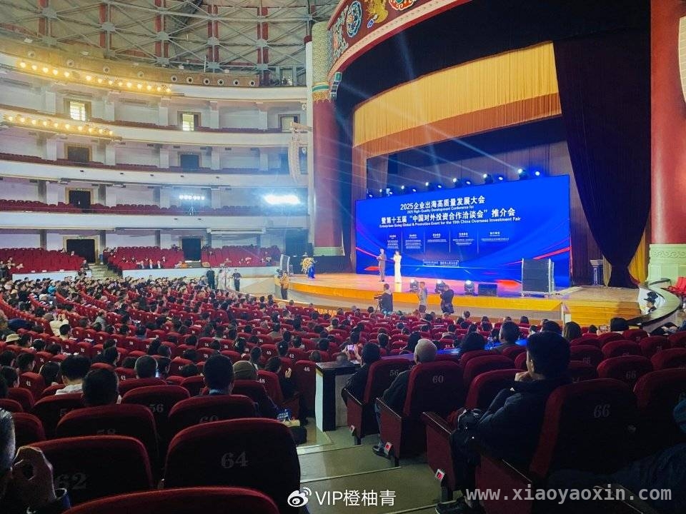 重庆大渡口区商会组团参会，共探企业出海新征程，大渡口区国际贸易商会18人团，赴企业出海大会谋发展