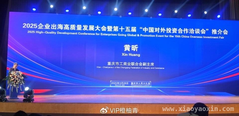 重庆大渡口区商会组团参会，共探企业出海新征程，大渡口区国际贸易商会18人团，赴企业出海大会谋发展