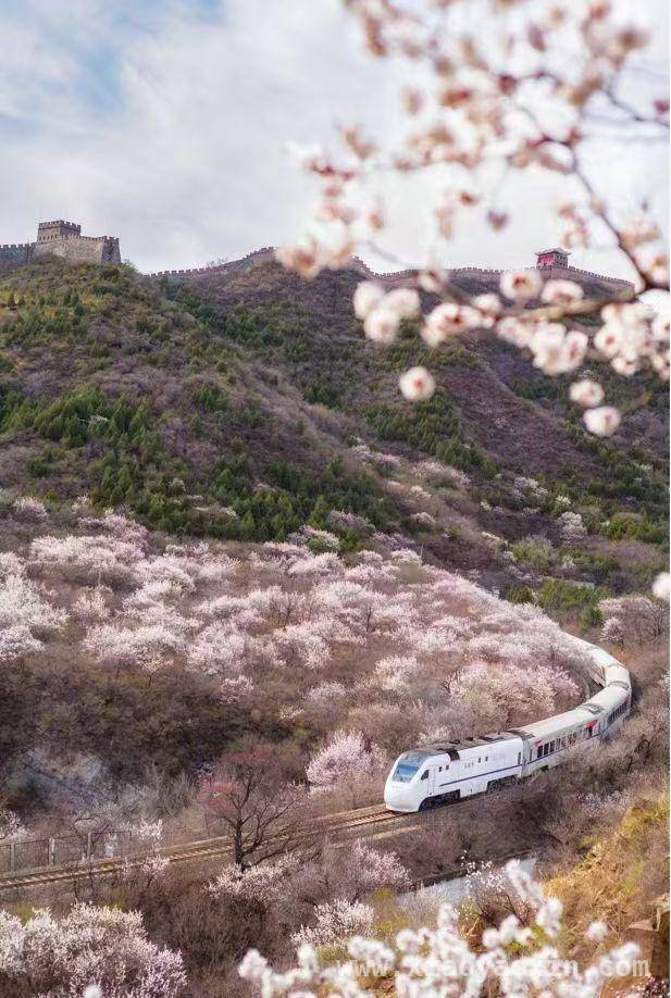 昌平春景：从花海栈道到特色乡村的魅力之旅