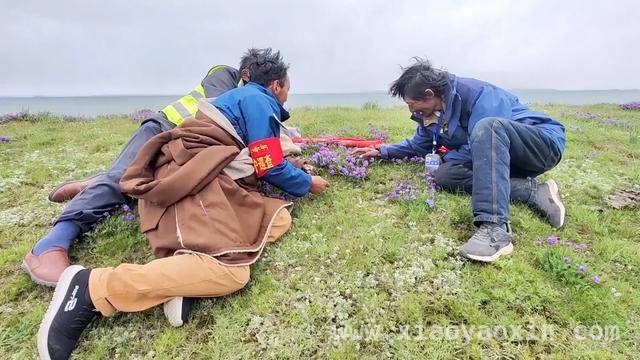 爱与使命：各领域守护者的壮丽画卷，不同岗位，相同坚守：守护祖国的力量