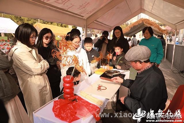 安徽博物院第三届“花朝在安博”，演绎春日文化盛宴