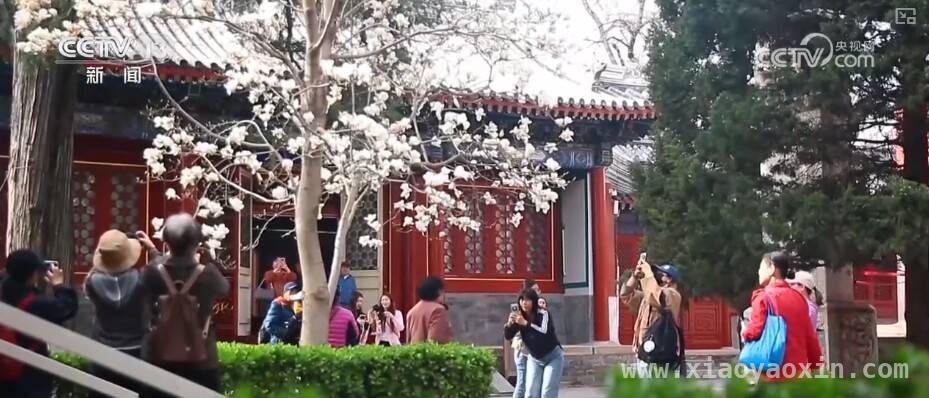 解锁春日宝藏：各地文创掀起热潮